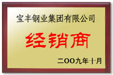 蒲城宝丰经销商